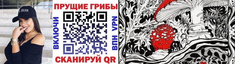 MEGA как войти  Нижние Серги  Псилоцибиновые грибы прущие грибы  закладки 